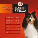 CARNE FRESCA FORCE 2.webp