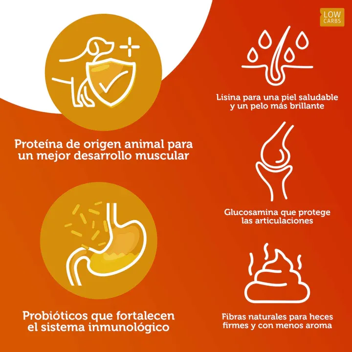 CARNE FRESCA FORCE 3.webp