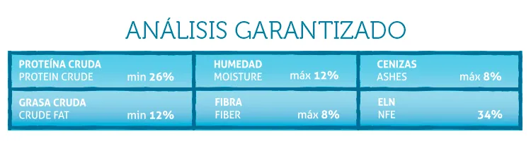 Minis-Analisis-Garantizado-ots5ip73iyl5y3nm5tg1usnfyn4fl4z6xvka8e279s.webp
