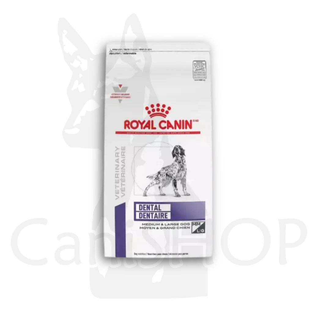 [498308] ROYAL CANIN DENTAL DRY DOG 08 KG